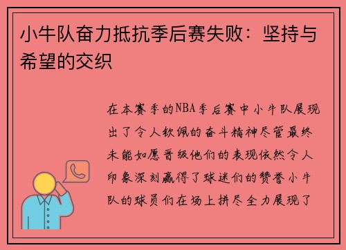 小牛队奋力抵抗季后赛失败：坚持与希望的交织