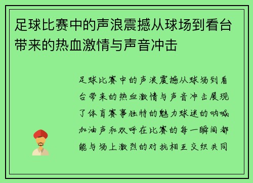足球比赛中的声浪震撼从球场到看台带来的热血激情与声音冲击