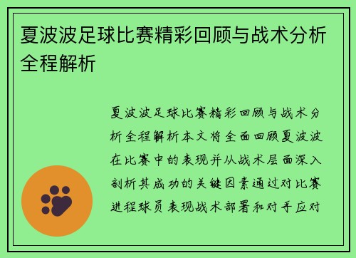 夏波波足球比赛精彩回顾与战术分析全程解析