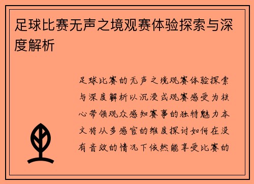 足球比赛无声之境观赛体验探索与深度解析
