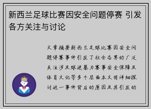 新西兰足球比赛因安全问题停赛 引发各方关注与讨论