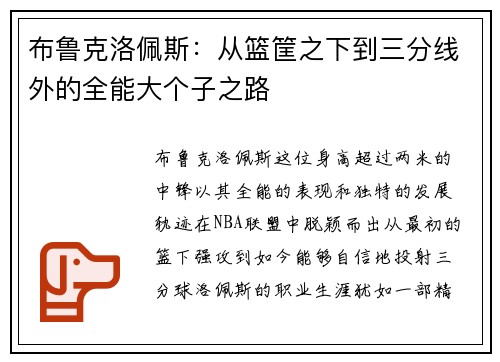 布鲁克洛佩斯：从篮筐之下到三分线外的全能大个子之路