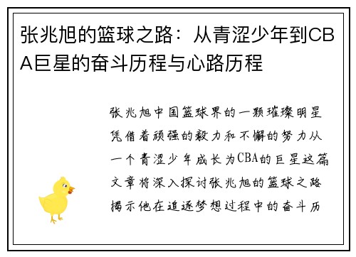 张兆旭的篮球之路：从青涩少年到CBA巨星的奋斗历程与心路历程
