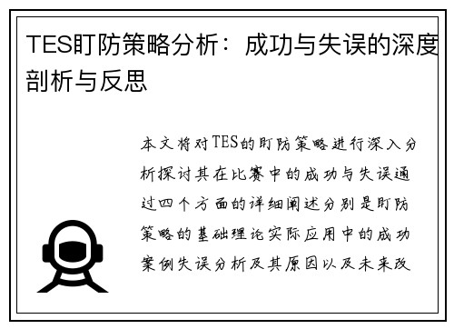TES盯防策略分析：成功与失误的深度剖析与反思